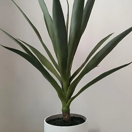 Apartment Sherryflat Prieta 7