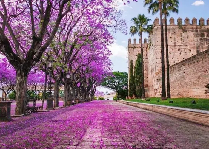 Sherryflat Prieta 7 *