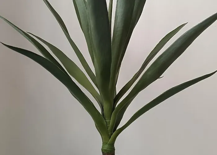 Lägenhet Sherryflat Prieta 7